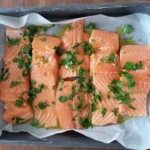 salmone1