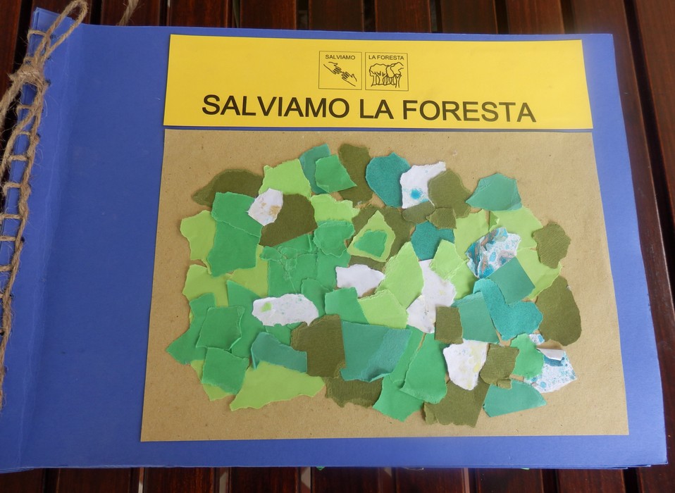 SALVIAMO LA FORESTA