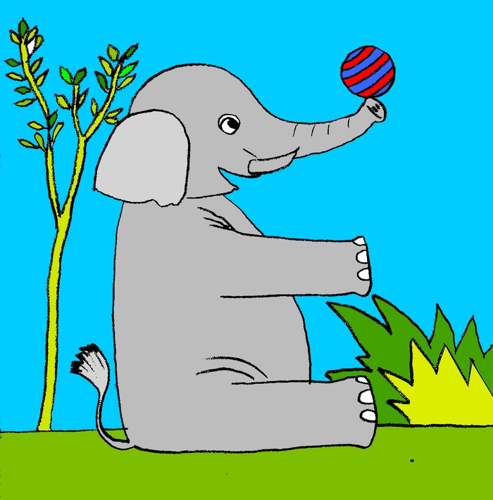 E COME…ELEFANTE