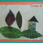 quadro 1