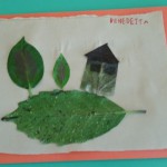 quadro 4