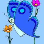 FARFALLA COLORE