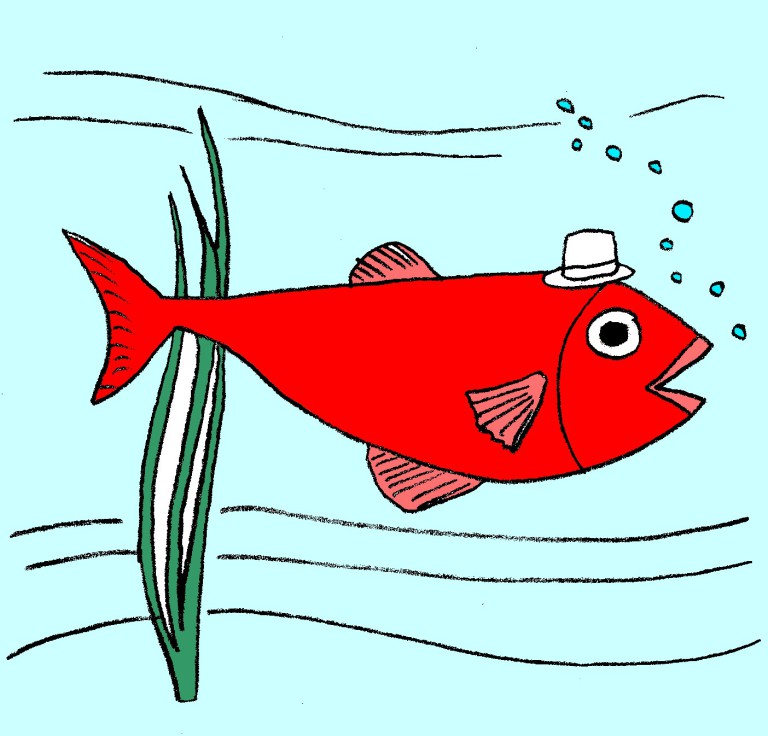 P COME…..PESCE