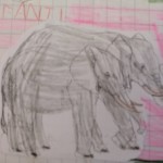 elefanti