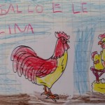 gallo e galline