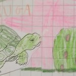 tartaruga