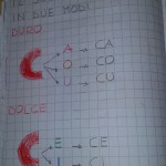 C DOLCE E DURO