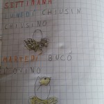 pulcino 1