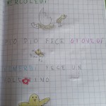 pulcino 2