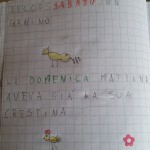 pulcino 3