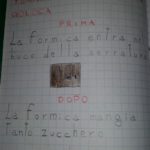 tomasina-1