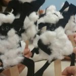 shaun-2