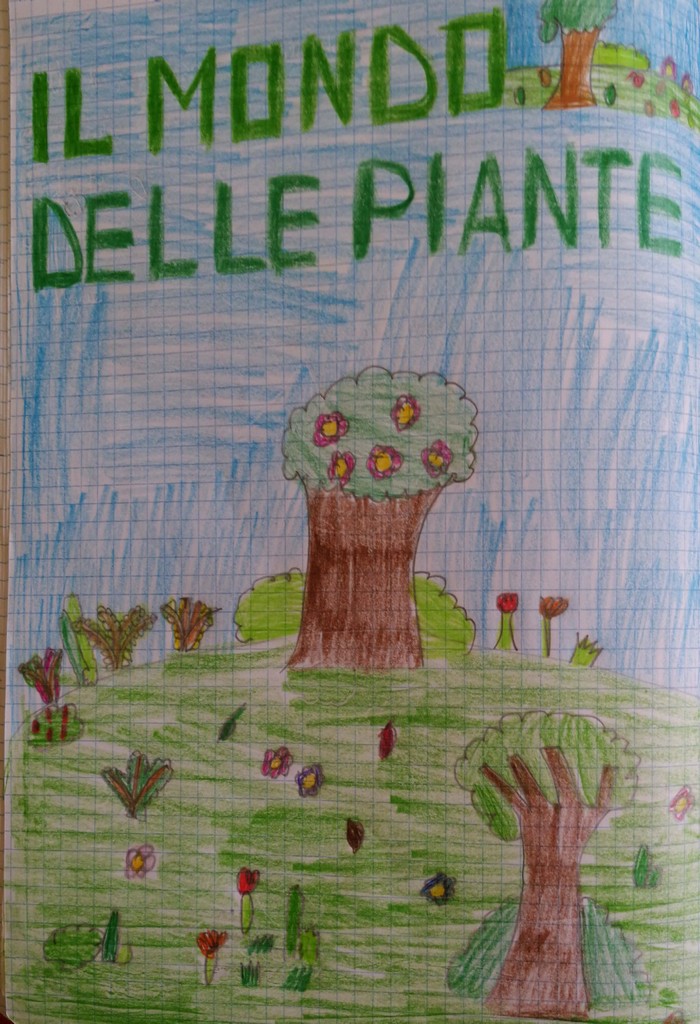 IL MONDO DELLE PIANTE